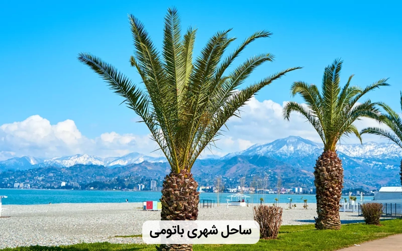 ساحل زیبای شهری باتومی