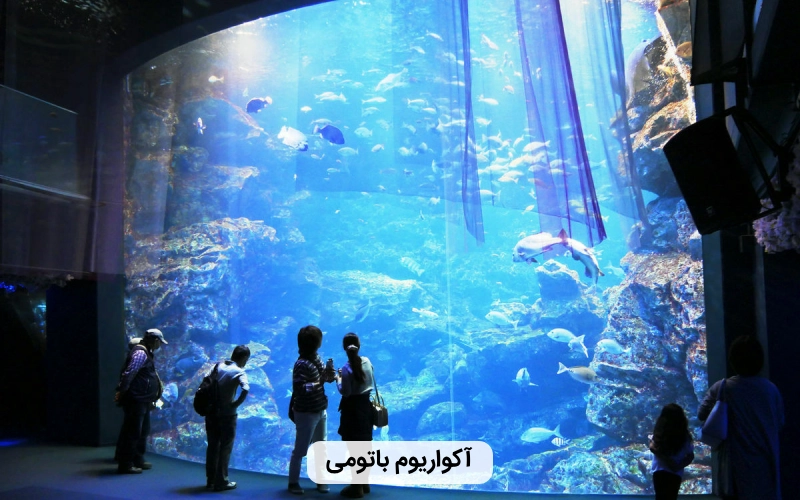باتومی یا استانبول- آکواریوم باتومی